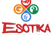 意大利布斯托-阿西齐奥国际宠物展览会(ESOTIKA PET SHOW )-logo